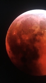 Lunar Eclipse 2019 Kentucky 