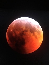 Lunar Eclipse 2019 Kentucky 